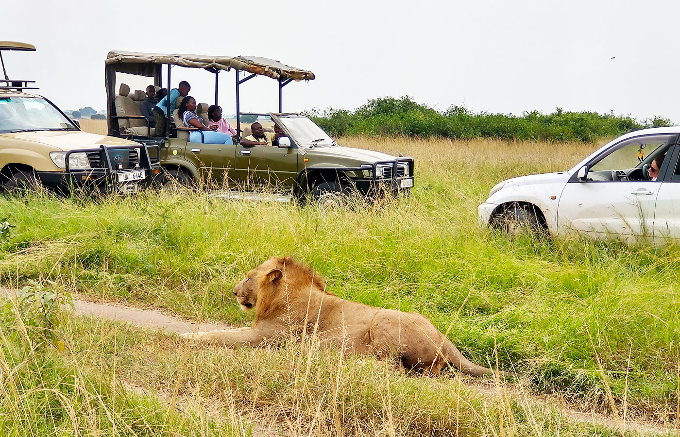 best-game-parks-for-game-drives-in-uganda